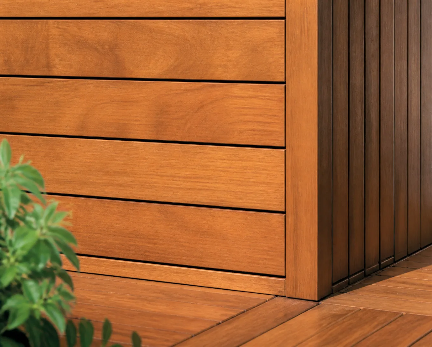 Accoya behandeling / toepassing foto